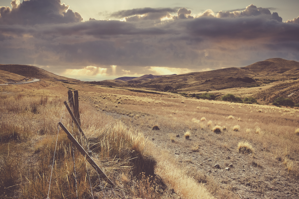 Golden rolling hills beneath dramatic clouds and sunlight
