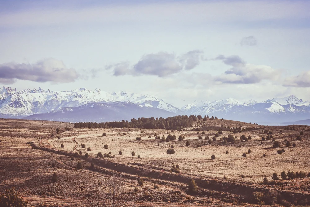 Open plateau facing a snow-covered mountain range