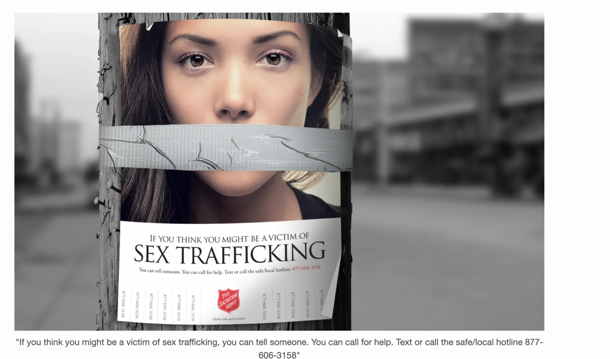 Salvation Army anti-trafficking hotline poster installed on a utility pole
